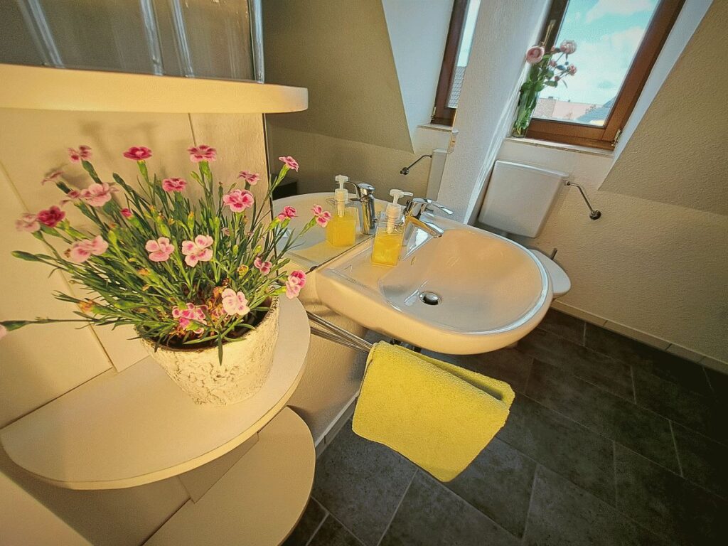 Ferienwohnung-Ulm-Haah-Wohnung-9