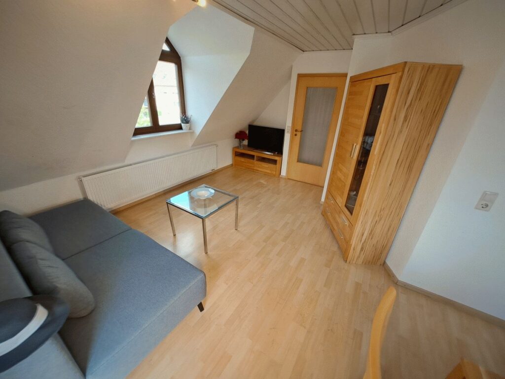 Ferienwohnung-Ulm-Haah-Wohnung-9